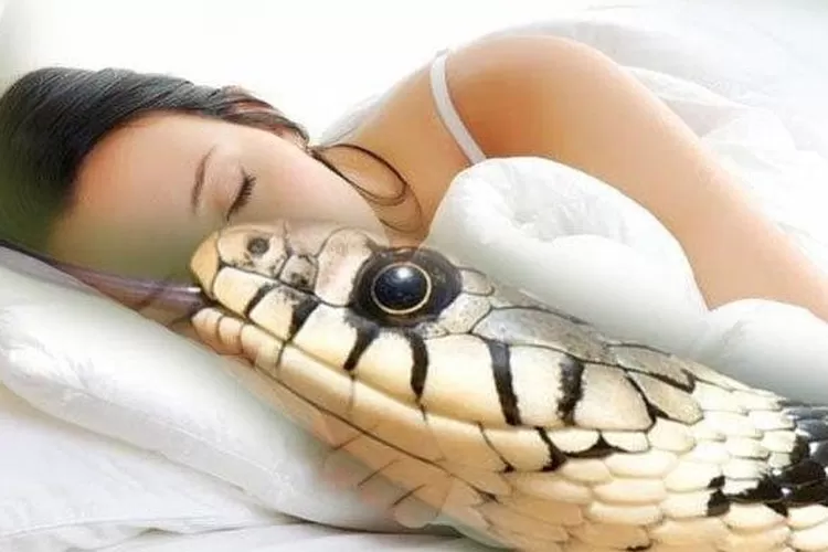 tafsir mimpi digigit ular togel